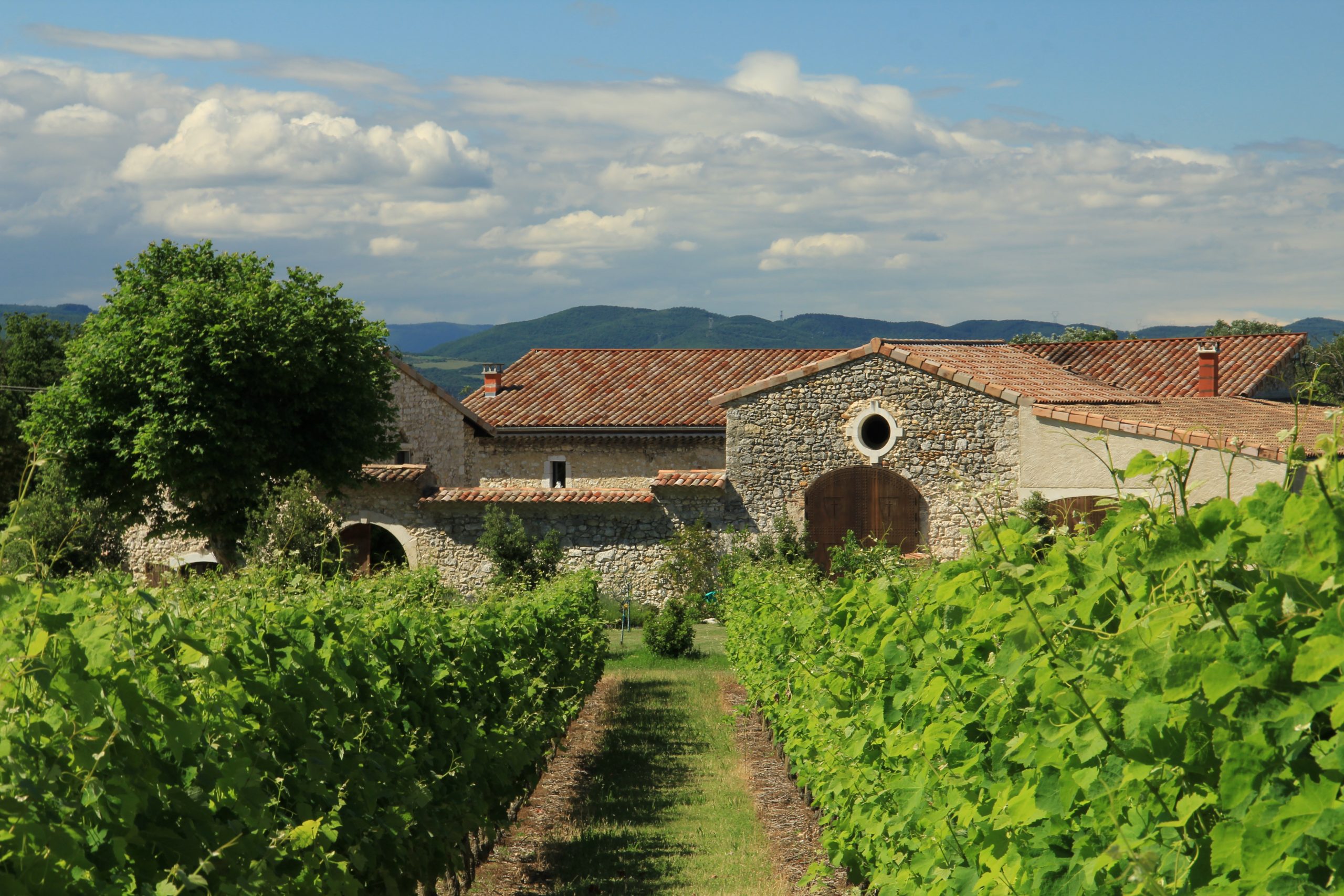 Vignes - Hôtel 4* de charme en Drôme Provençale